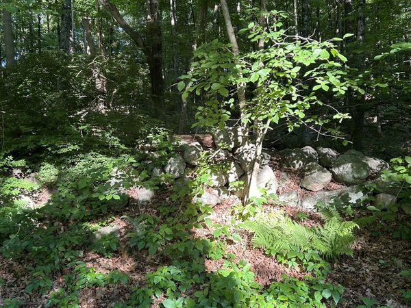 Cobbs Mill , Wilton, CT 06897