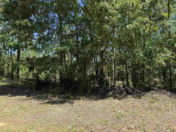 CLEMENT DR, Savannah, TN 38372