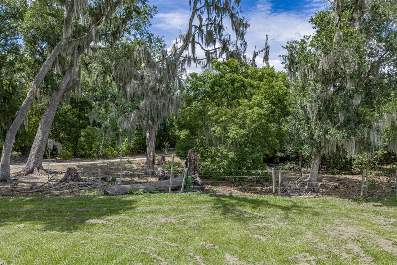 14080 Sydney Road, Dover, FL 33527 Photo