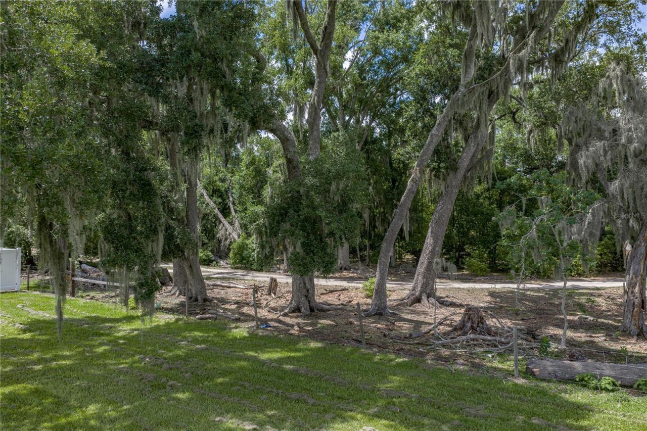 14080 Sydney Road, Dover, FL 33527 Photo