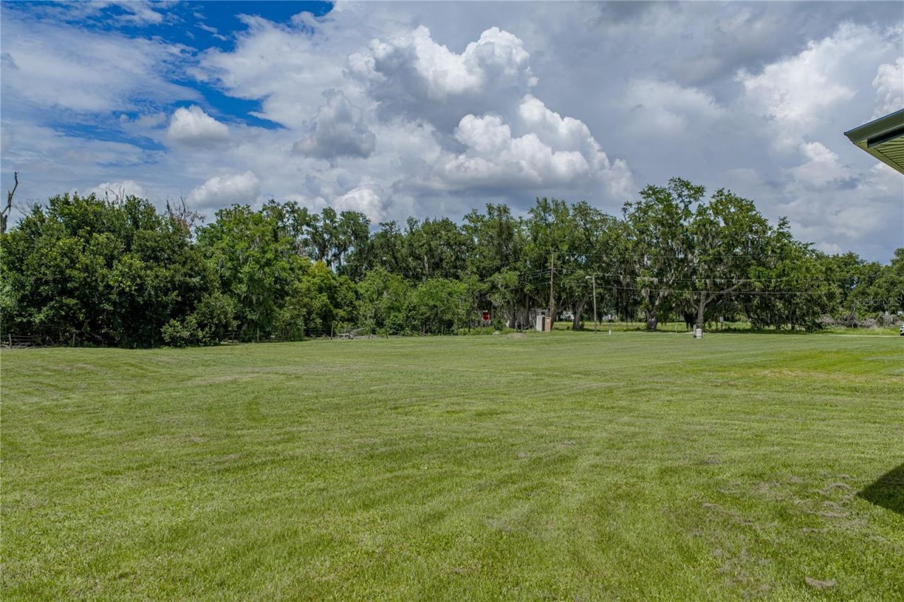 14080 Sydney Road, Dover, FL 33527 Photo
