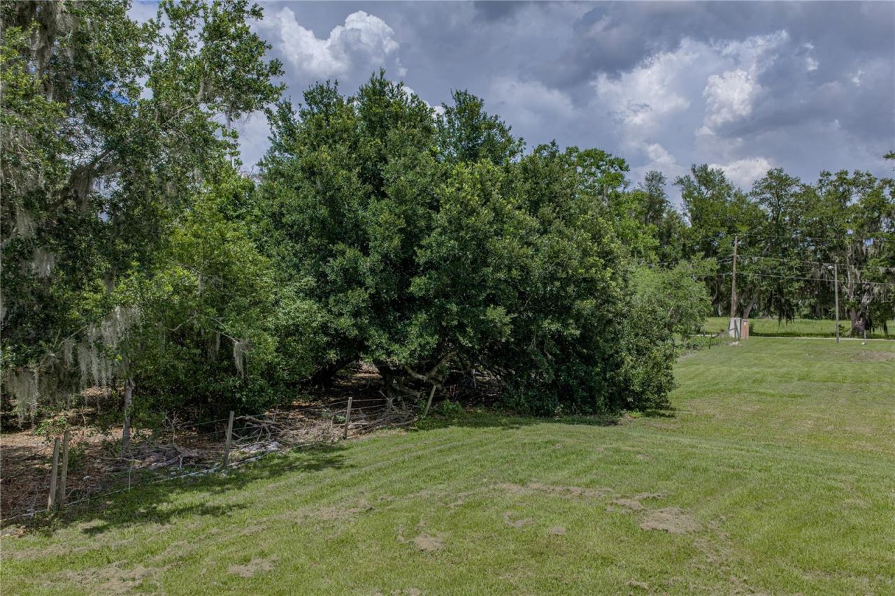 14080 Sydney Road, Dover, FL 33527 Photo