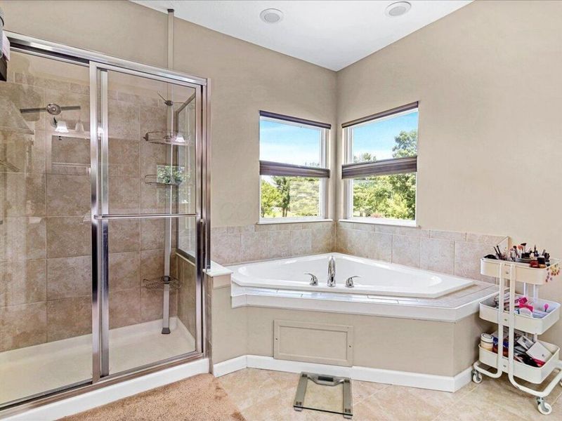 2009 Rocklake Court, Lewis Center, OH 43035 Photo 28
