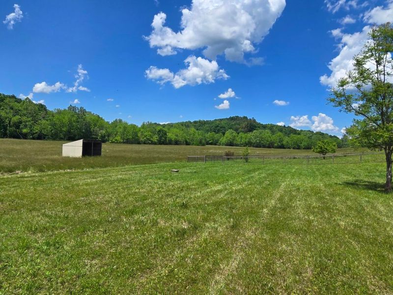 7455 Old Grade Road, Chesterhill, OH 43728 Photo 10