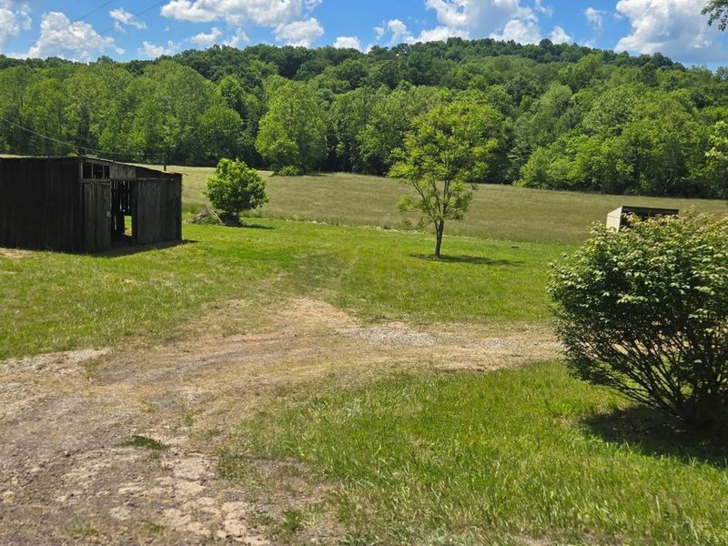 7455 Old Grade Road, Chesterhill, OH 43728 Photo 15