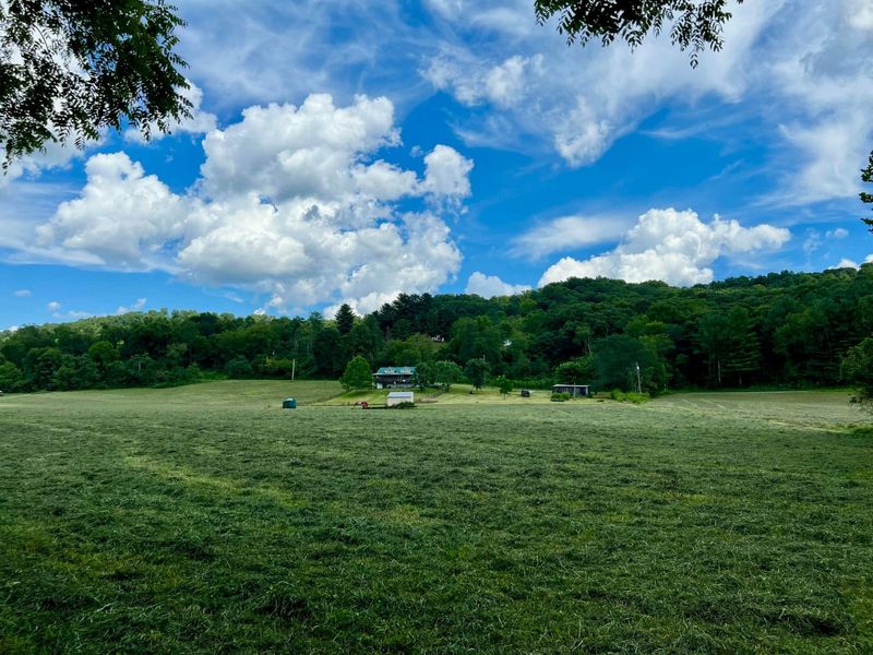 7455 Old Grade Road, Chesterhill, OH 43728 Photo 4