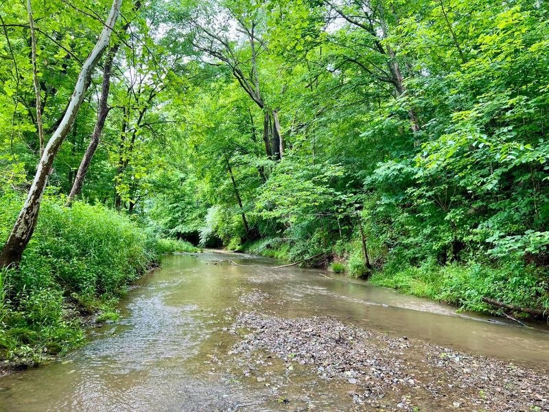 7455 Old Grade Road, Chesterhill, OH 43728 Photo 5