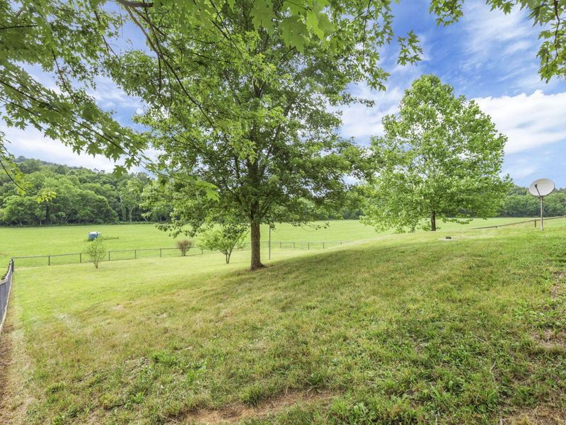 7455 Old Grade Road, Chesterhill, OH 43728 Photo 62