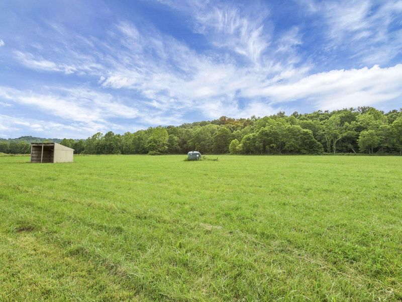 7455 Old Grade Road, Chesterhill, OH 43728 Photo 67