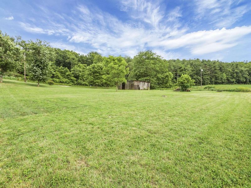 7455 Old Grade Road, Chesterhill, OH 43728 Photo 69