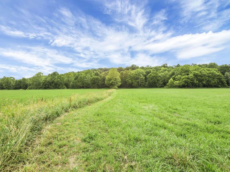 7455 Old Grade Road, Chesterhill, OH 43728 Photo 71