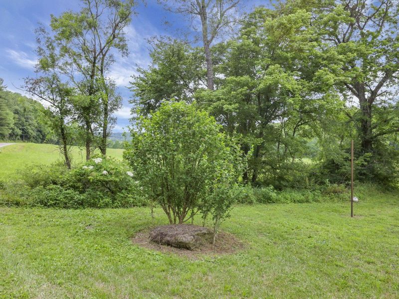 7455 Old Grade Road, Chesterhill, OH 43728 Photo 74