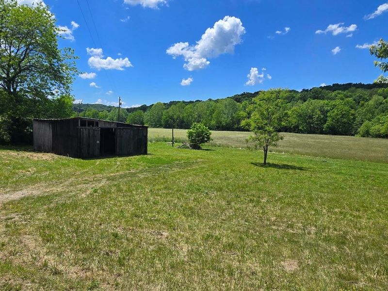 7455 Old Grade Road, Chesterhill, OH 43728 Photo 8
