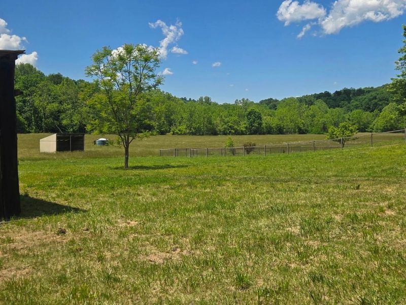 7455 Old Grade Road, Chesterhill, OH 43728 Photo 9