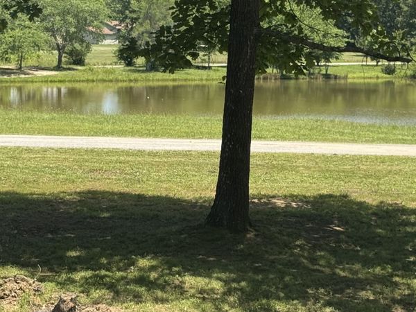 1684 Rimfire Dr , Unit 15/16, Beechgrove, TN 37018