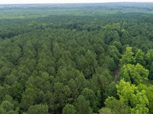 TBD CR 4510 , Pittsburg, TX 75686