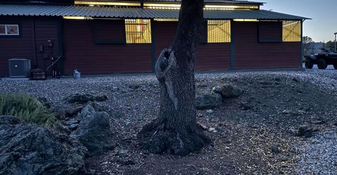7087 Latigo St, Angels Camp, CA 95222 Photo
