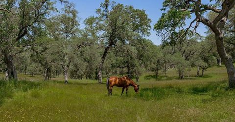 7087 Latigo St, Angels Camp, CA 95222 Photo