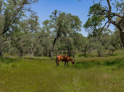7087 Latigo St, Angels Camp, CA 95222 Photo