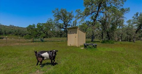 7087 Latigo St, Angels Camp, CA 95222 Photo