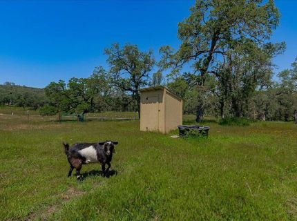 7087 Latigo St, Angels Camp, CA 95222 Photo