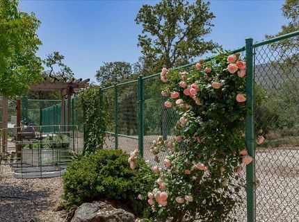 7087 Latigo St, Angels Camp, CA 95222 Photo