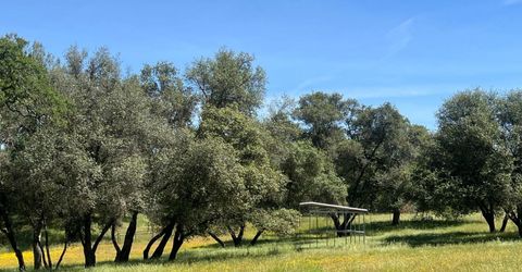 7087 Latigo St, Angels Camp, CA 95222 Photo