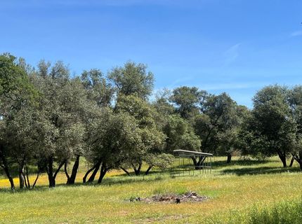 7087 Latigo St, Angels Camp, CA 95222 Photo