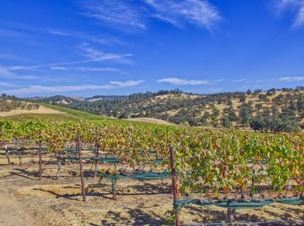 Veauta Road, Plymouth, CA 95669 Photo