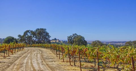 Veauta Road, Plymouth, CA 95669 Photo
