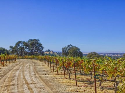 Veauta Road, Plymouth, CA 95669 Photo