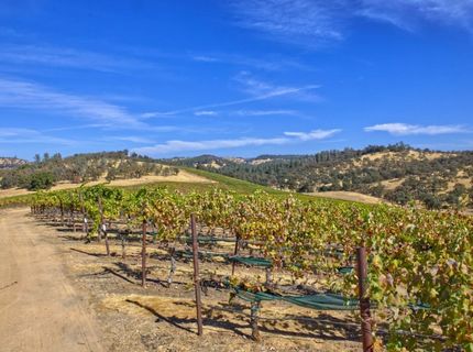 Veauta Road, Plymouth, CA 95669 Photo
