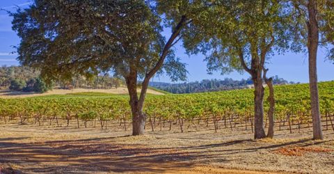 Veauta Road, Plymouth, CA 95669 Photo