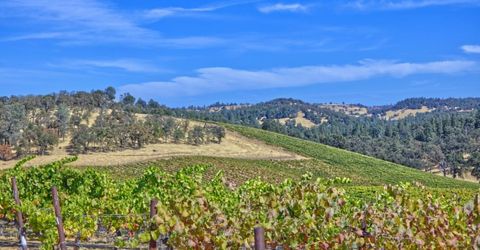 Veauta Road, Plymouth, CA 95669 Photo