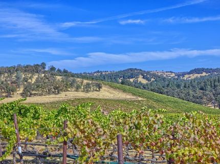 Veauta Road, Plymouth, CA 95669 Photo
