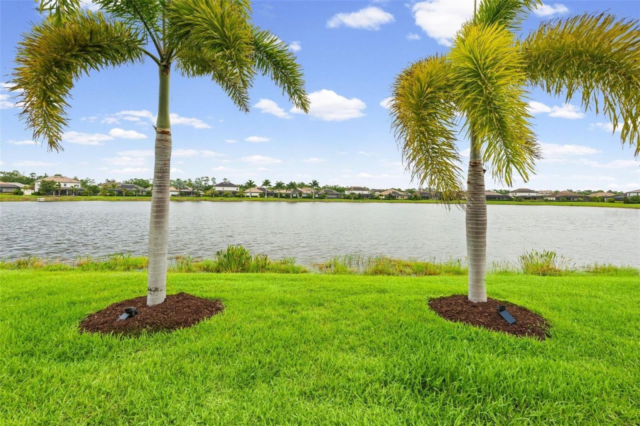 6522 Rosehill Farm Run, Bradenton, FL 34211 Photo