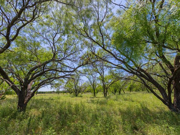 TBD County Road 180 El Cielo Ranch RD , Purmela, TX 76566