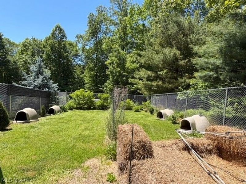 4256 Metzger Hill Road SW, Stone Creek, OH 43840 Photo 37
