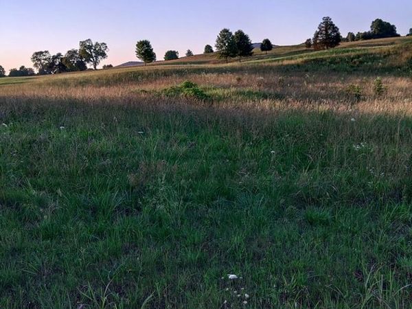 0 Collins River Run Lot 51, Mcminnville, TN 37110