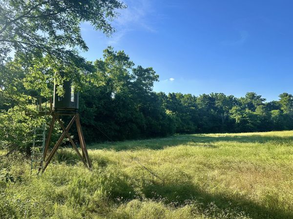 14188 County Road 195 , Wheatland, MO 65779
