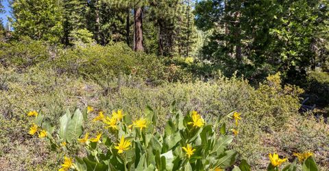 3100 North Lake Boulevard, Tahoe City, CA 96145 Photo