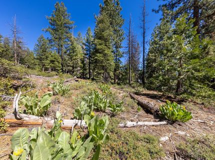 3100 North Lake Boulevard, Tahoe City, CA 96145 Photo