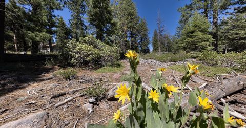 3100 North Lake Boulevard, Tahoe City, CA 96145 Photo