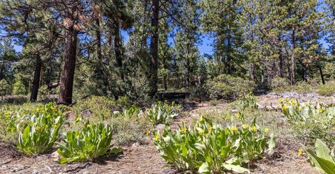 3100 North Lake Boulevard, Tahoe City, CA 96145 Photo