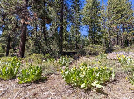 3100 North Lake Boulevard, Tahoe City, CA 96145 Photo