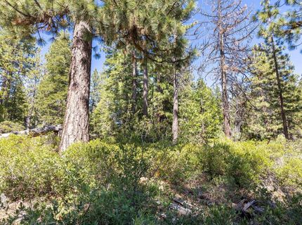 3100 North Lake Boulevard, Tahoe City, CA 96145 Photo
