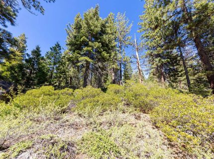 3100 North Lake Boulevard, Tahoe City, CA 96145 Photo