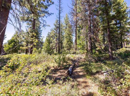 3100 North Lake Boulevard, Tahoe City, CA 96145 Photo