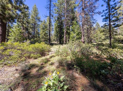 3100 North Lake Boulevard, Tahoe City, CA 96145 Photo