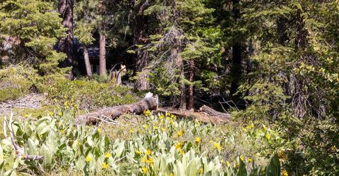 3100 North Lake Boulevard, Tahoe City, CA 96145 Photo